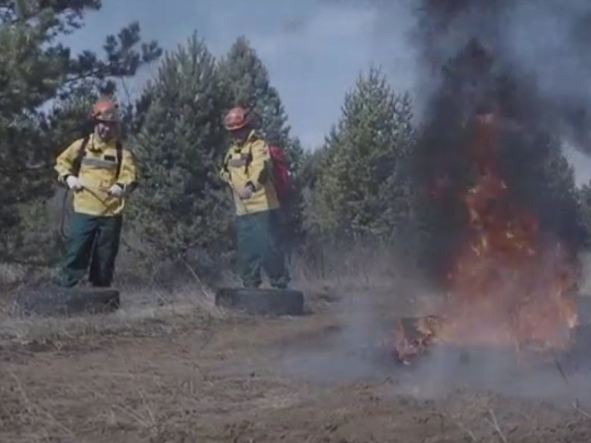 Один лесной пожар действует в Zабайкалье